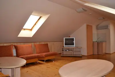 a living room with a couch and a tv at Vila Evelina in Druskininkai