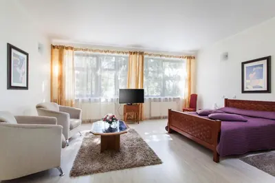 a living room with a bed and a couch at Mineraliniai Apartamentai in Druskininkai