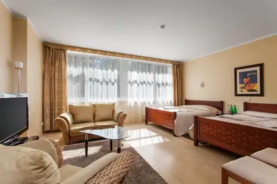 a living room with furniture and a large window at Mineraliniai Apartamentai in Druskininkai