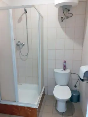 a bathroom with a shower and a toilet and a sink at Kambarių nuoma - Neveronys SAURIDA in Neveronys