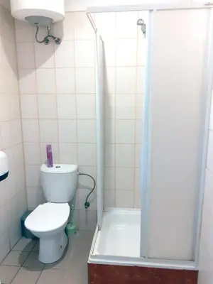 a bathroom with a toilet and a shower with a shower curtain at Kambarių nuoma - Neveronys SAURIDA in Neveronys