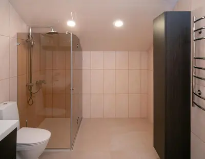 a bathroom with a shower and a toilet at Laurentroom Park&Fountain in Ukmergė