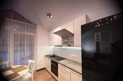 a kitchen with white cabinets and a black refrigerator at Laurentroom Park&Fountain in Ukmergė