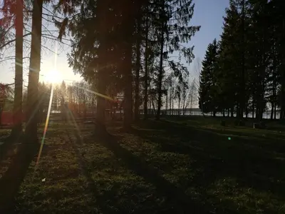 a sun shining through trees in a park at Biržai camping in Biržai
