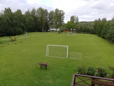 a field with a soccer ball and a goal at Aido ir Vido sodyba in Utena