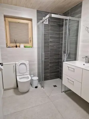 a bathroom with a shower and a toilet and a sink at Aido ir Vido sodyba in Utena