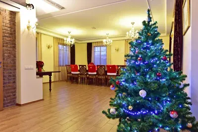 a christmas tree in the middle of a room at Spa Villa Trakai in Trakai