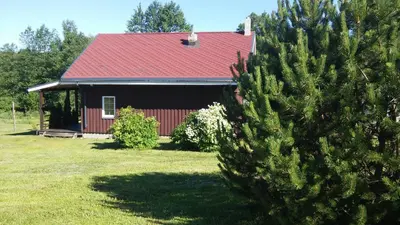 a house with a red roof and a pine tree at Antanelio Sapnas in Pabradė