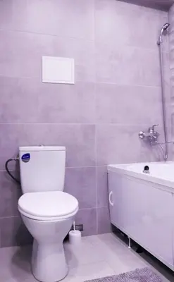 a bathroom with a toilet and a bath tub at Butas miesto centre in Panevėžys