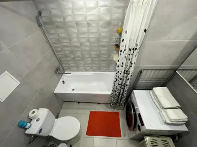 a small bathroom with a toilet and a bath tub at Butas miesto centre in Panevėžys