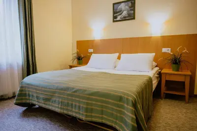a bedroom with a large bed with two pillows at Hotel Vita in Druskininkai