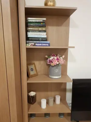 a book shelf with a vase of flowers and books at Barbora apartament in Druskininkai