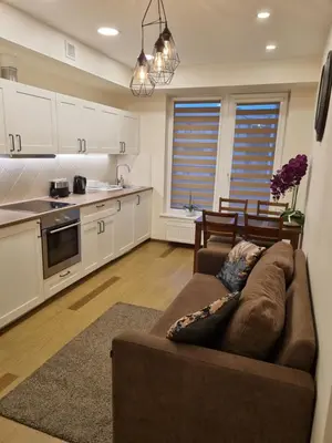 a living room with a couch and a kitchen at Barbora apartament in Druskininkai