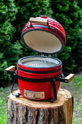 a red toaster sitting on top of a tree stump at Aušra in Druskininkai