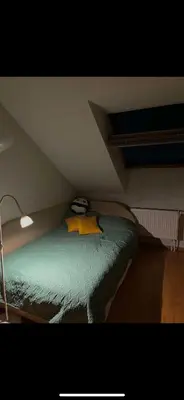 a bedroom with a bed in a attic at Velux in Vilnius
