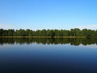 a view of a lake with trees in the background at Ami Residence in Druskininkai