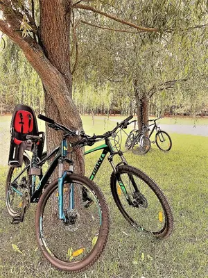 a bike is parked next to a tree at Ami Residence in Druskininkai