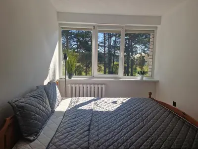 a bedroom with a bed and a window at VK Duplex Apartment in Druskininkai