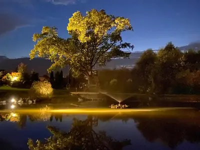 a large tree sitting next to a lake at night at Residence R&R in Karvys