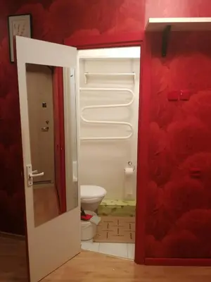 a bathroom with a white refrigerator and a toilet at Flat, 1 room, study in Panevėžys