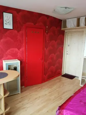 a red door in a room with a red wall at Flat, 1 room, study in Panevėžys