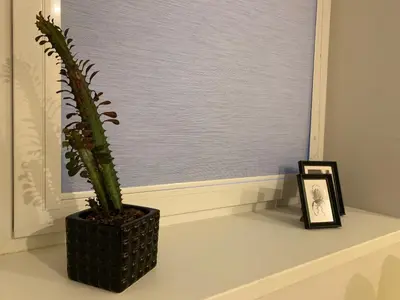 a plant sitting on a shelf in front of a window at Bright 1BD Apartment in Old Town by Hostlovers in Kaunas