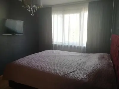a bedroom with a bed with a window and a television at Justinos Apartamentai Panevėžyje in Panevėžys