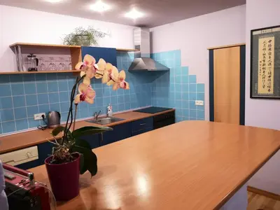 a kitchen with a wooden table and a potted plant at Park apartment in Kaunas
