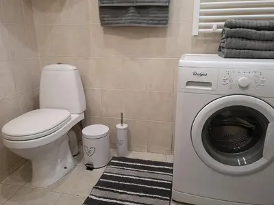a bathroom with a toilet and a washing machine at Park apartment in Kaunas