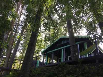 a tree house in the woods with a hammock at VIP Green House of Hope for 2 in Leliūnai