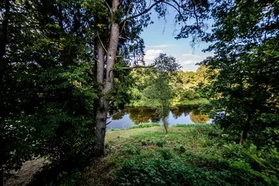 a view of a lake through the trees at VIP Yellow dream house Sodyba Geras geltona žalia raudona violetinė in Anykščiai