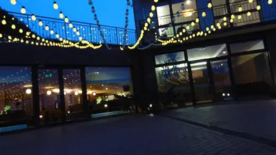 a building with a lot of lights hanging from it at Villa Alicante & SPA in Zujūnai