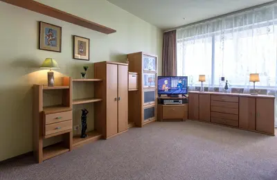 a large room with a television and a large window at Gerda Apartments in Druskininkai