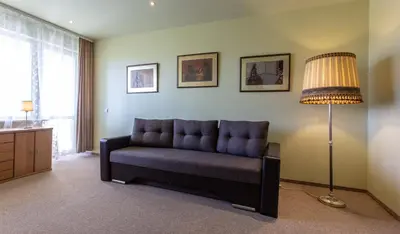 a living room with a couch and a lamp at Gerda Apartments in Druskininkai