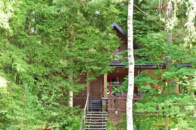a log cabin in the woods with trees at Vidūnų sodyba in Kuktiškės