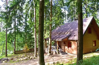 a log cabin in the woods with trees at Vidūnų sodyba in Kuktiškės