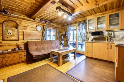 a kitchen with a couch and a table in a room at Vidūnų sodyba in Kuktiškės
