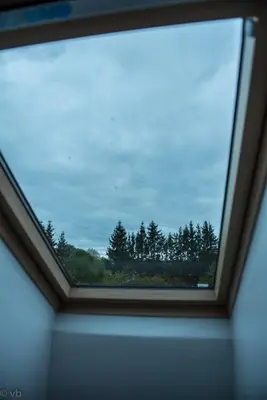 a window in a room with a view of trees at Prie upes in Kunioniai