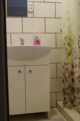 a bathroom with a sink and a shower curtain at Anyksciu liuksas in Anykščiai