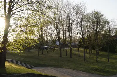 a park with a bunch of trees in the grass at Anyksciu liuksas in Anykščiai