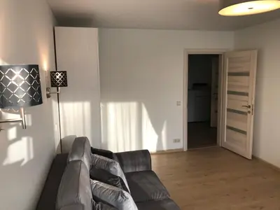 a living room with a leather couch and a lamp at Crystal Grey in Druskininkai
