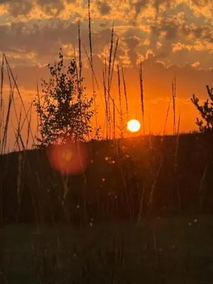a sunset in a field with tall grass at Villa Vita in Seimėnai