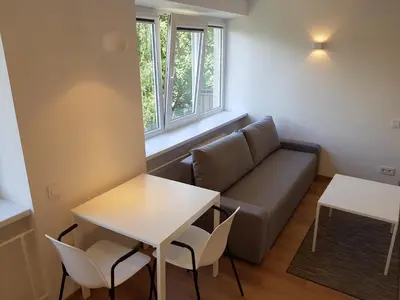 a living room with a couch and a table at Anykščiai Cozy Studio in Anykščiai
