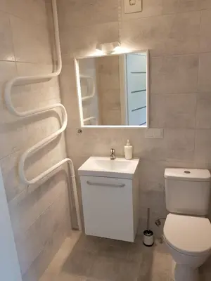 a bathroom with a toilet and a sink and a mirror at Anykščiai Cozy Studio in Anykščiai