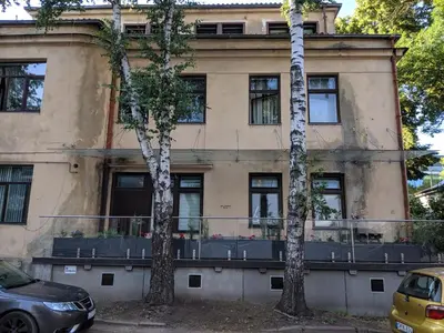 two palm trees in front of a building at M terrace in Kaunas