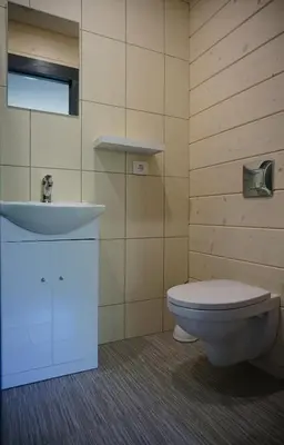a bathroom with a toilet and a sink at Du Horizontai in Molėtai