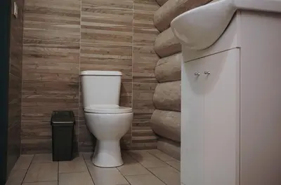 a bathroom with a toilet and a stone wall at Du Horizontai in Molėtai