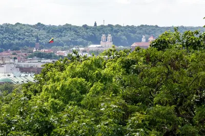 a view of a city from behind some trees at Heritage Boutique 'Green Hill' in Kaunas