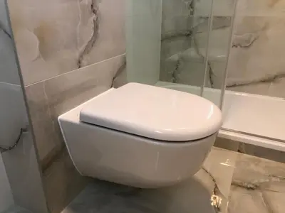 a white toilet in a bathroom with a shower at Eden House in Druskininkai