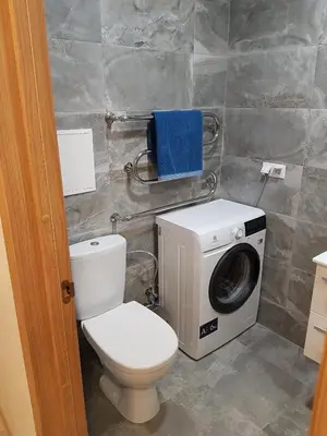 a bathroom with a toilet and a washing machine at Vilniaus 123 in Šiauliai